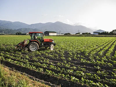 Agroindustria — sanitización de productos agrícolas